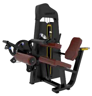 TH Series Dual Leg Curl/Extension Machine