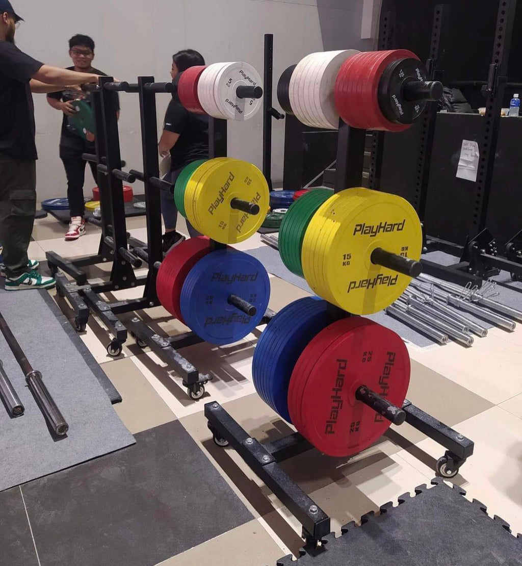 PlayHard Plate Rack (Tree Type)