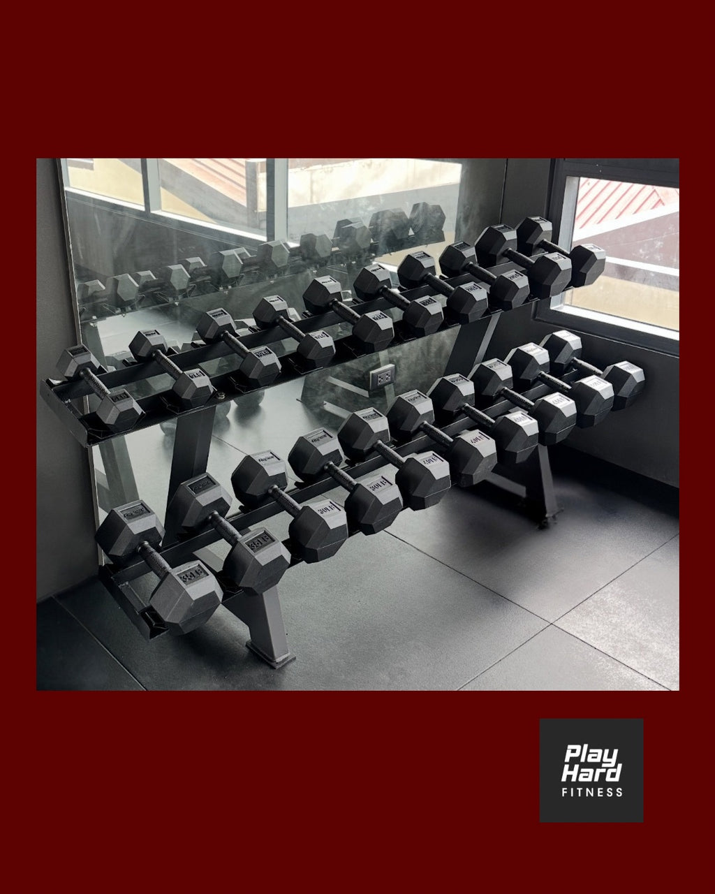 Elite Premium DB Bundle