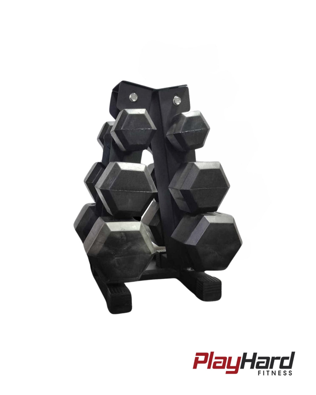 Starter Trio DB Bundle