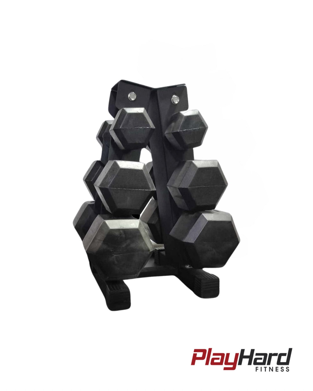 Starter Trio DB Bundle