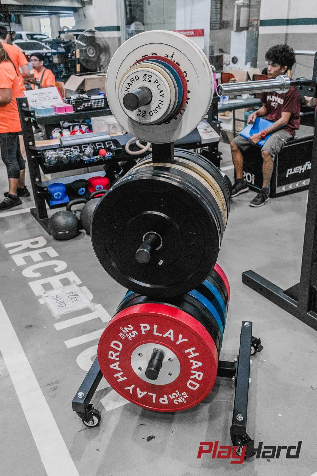 PlayHard Plate Rack (Tree Type)