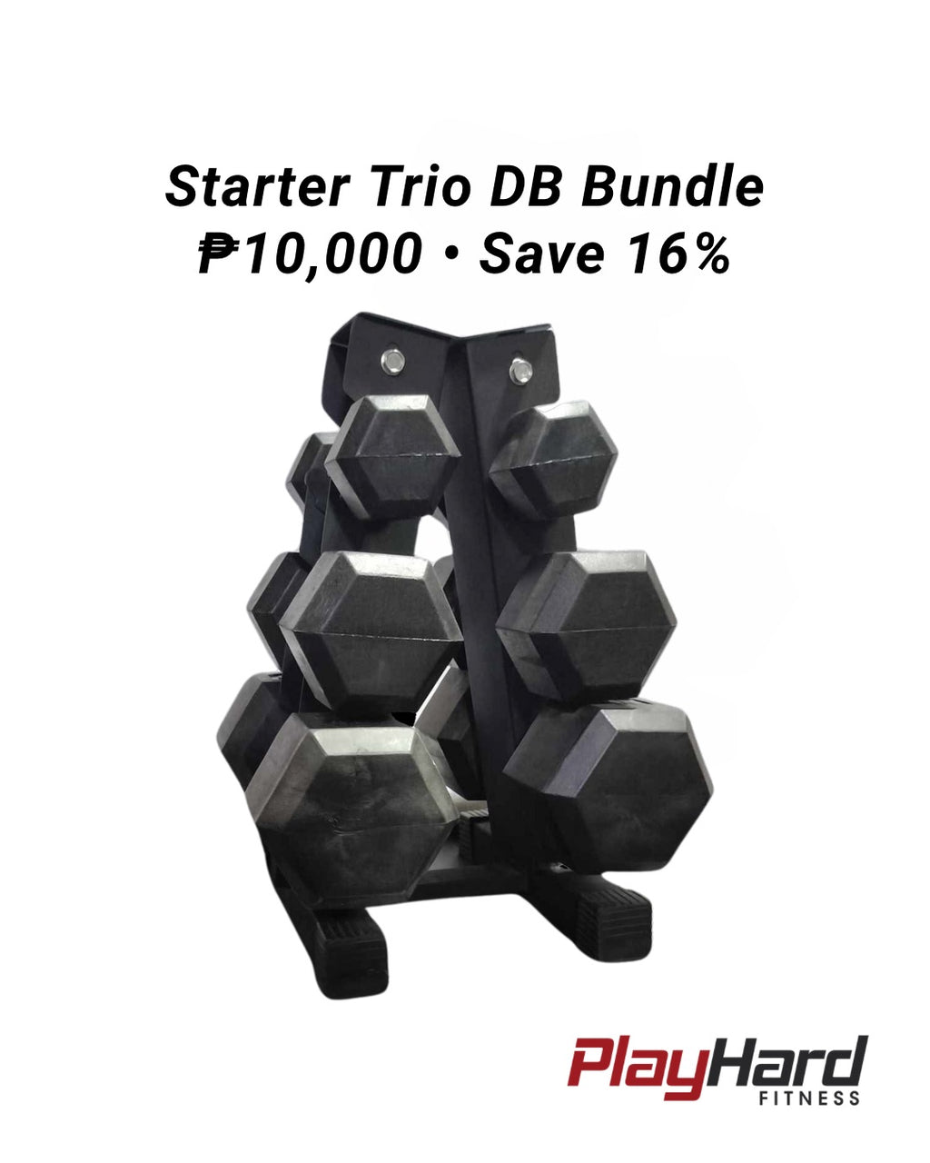 Starter Trio DB Bundle
