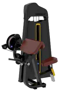 TH Series Dual Bicep/Tricep Machine